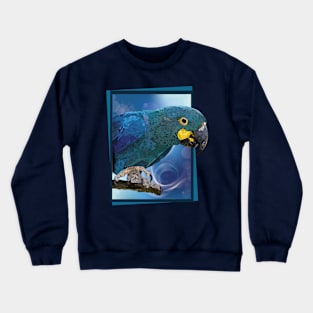 lear's macaw Crewneck Sweatshirt